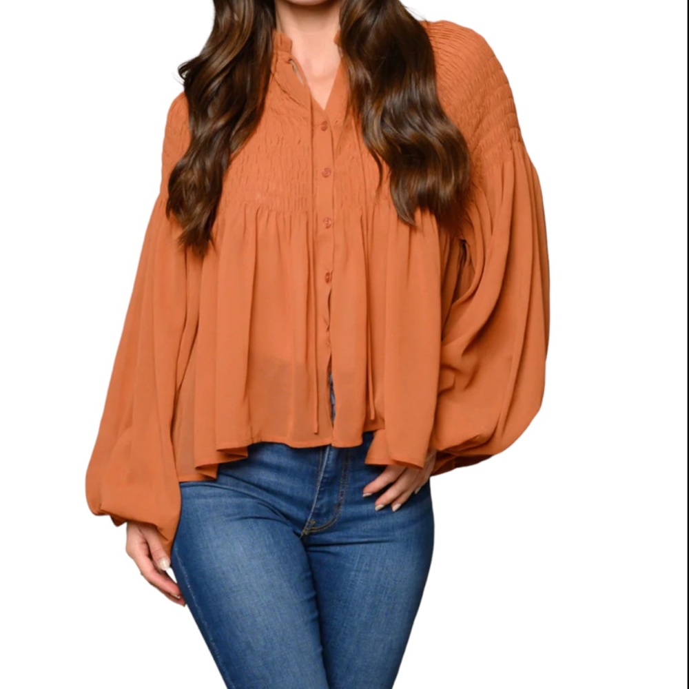 NWT beautiful sheer Long  Puff Sleeve Tunic Blouse